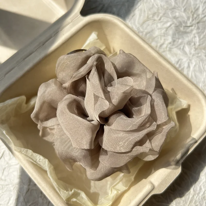 Large Imported Hair Clip 5